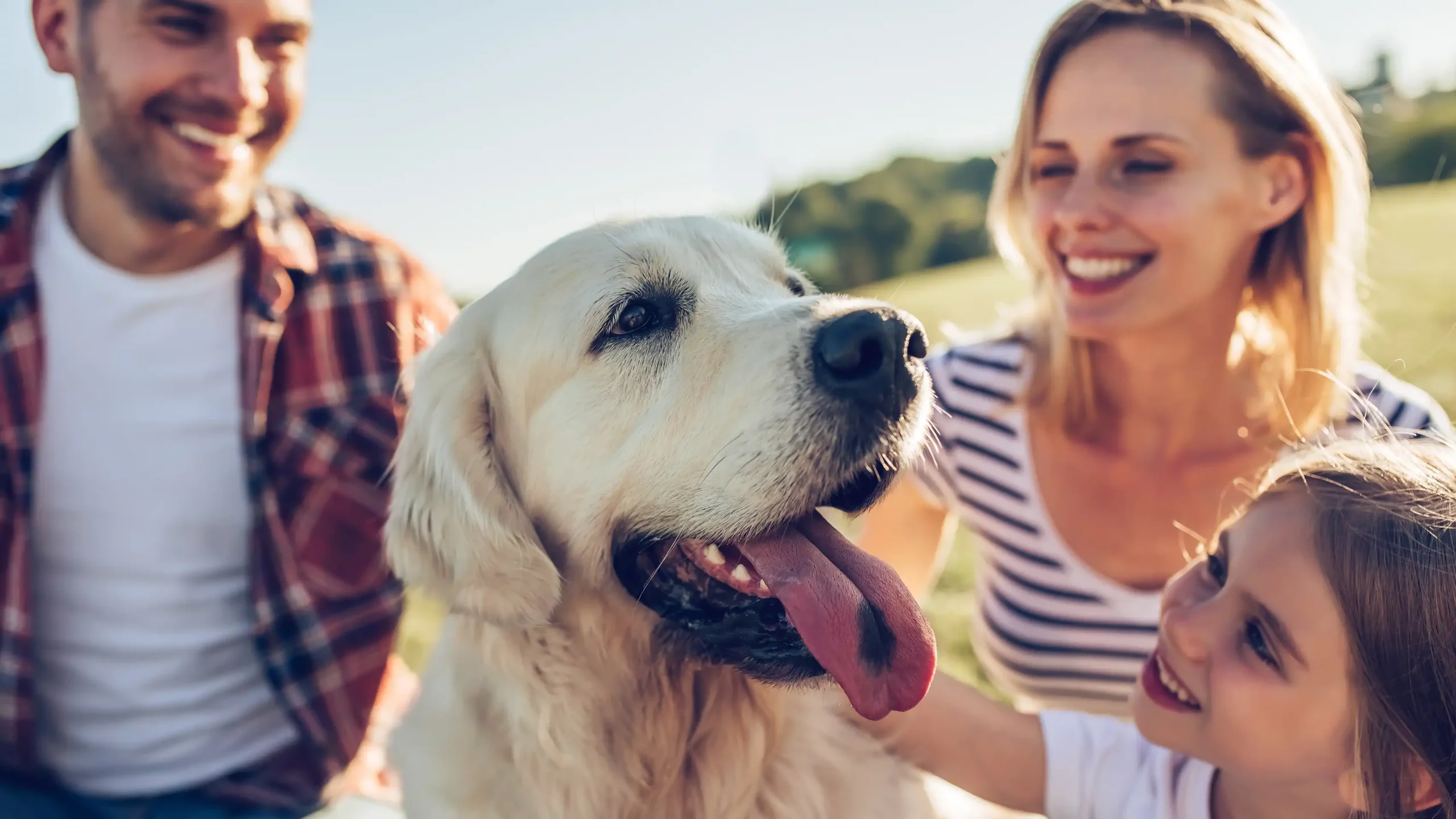 What is Pet Insurance?